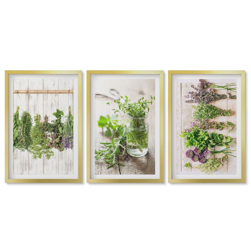 Obrazy w złotej ramie Tulup 40x60 cm Zioła rośliny do kuchni Tryptyk 1 kpl