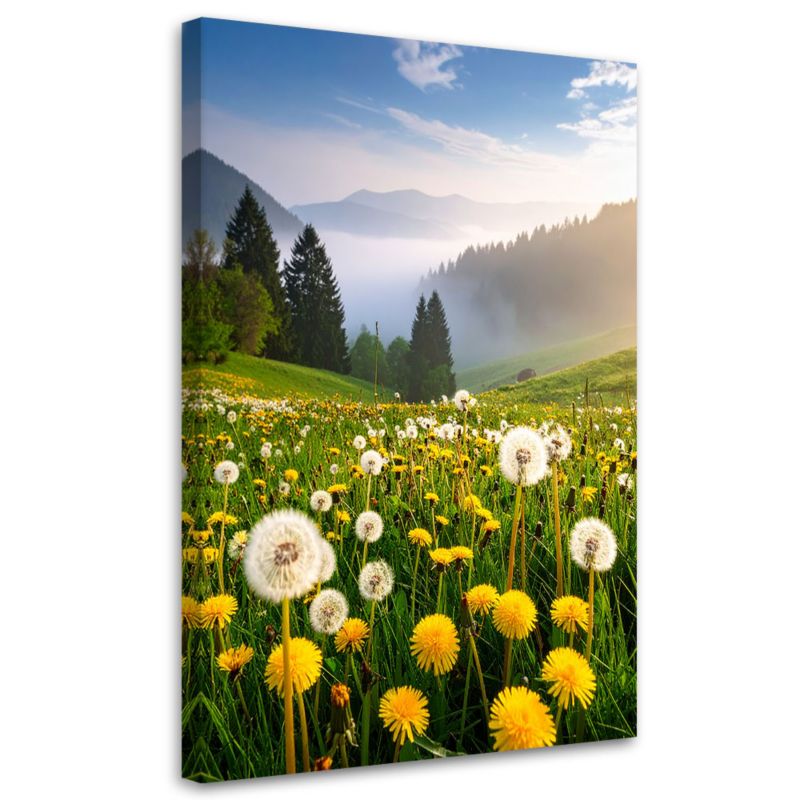 Obraz do salonu sypialni biura Feeby Łąka dmuchawce pejzaż górski 80x120cm 1szt