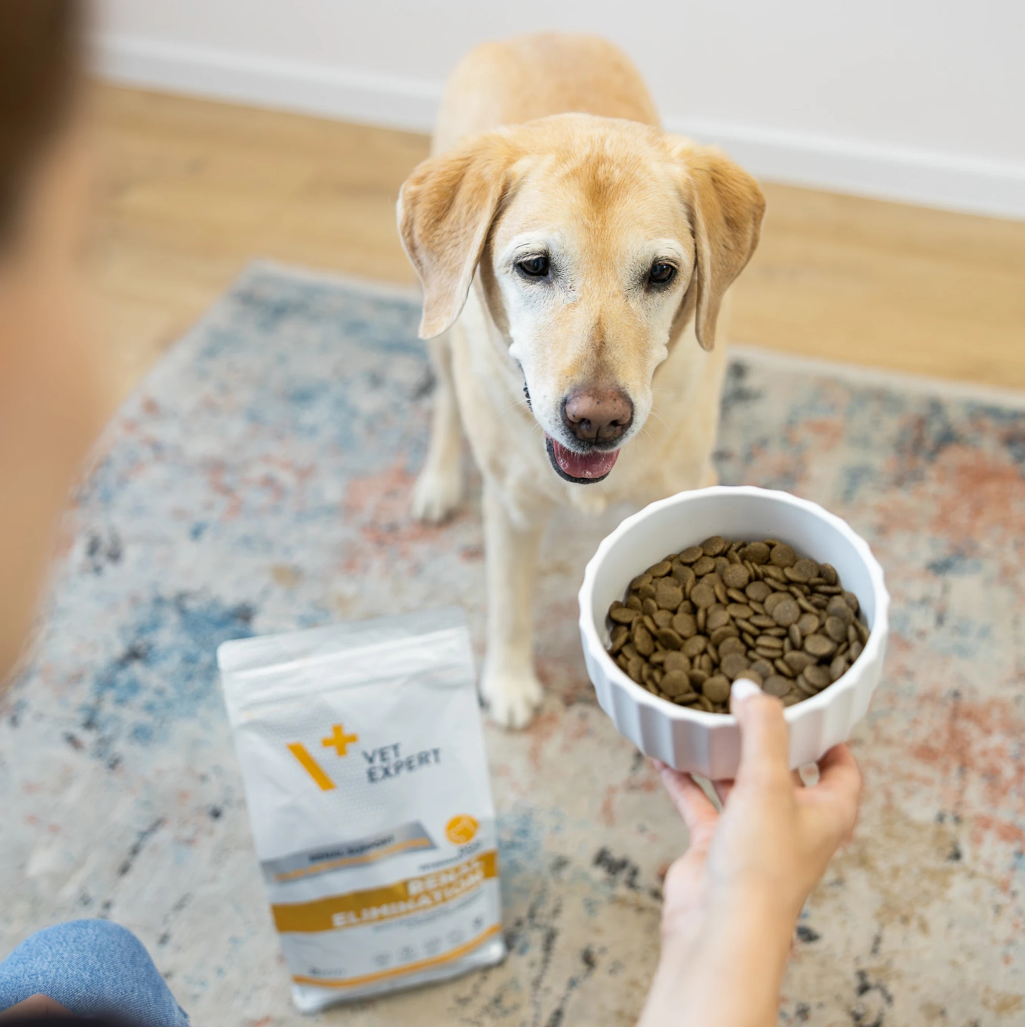 VET EXPERT Renal Elimination Dog | 8 kg | Karma na nerki i alergię | Monobiałkowy królik