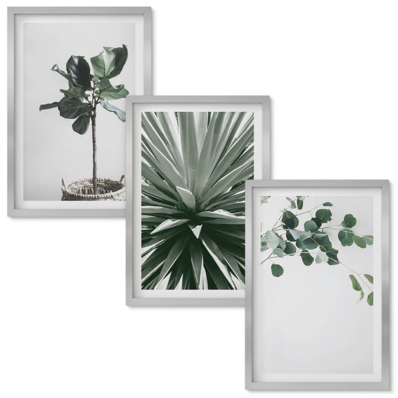 Zestaw obrazów Wallfluent Zielone rośliny minimalizm Srebrna rama 40x60 cm 3 szt.