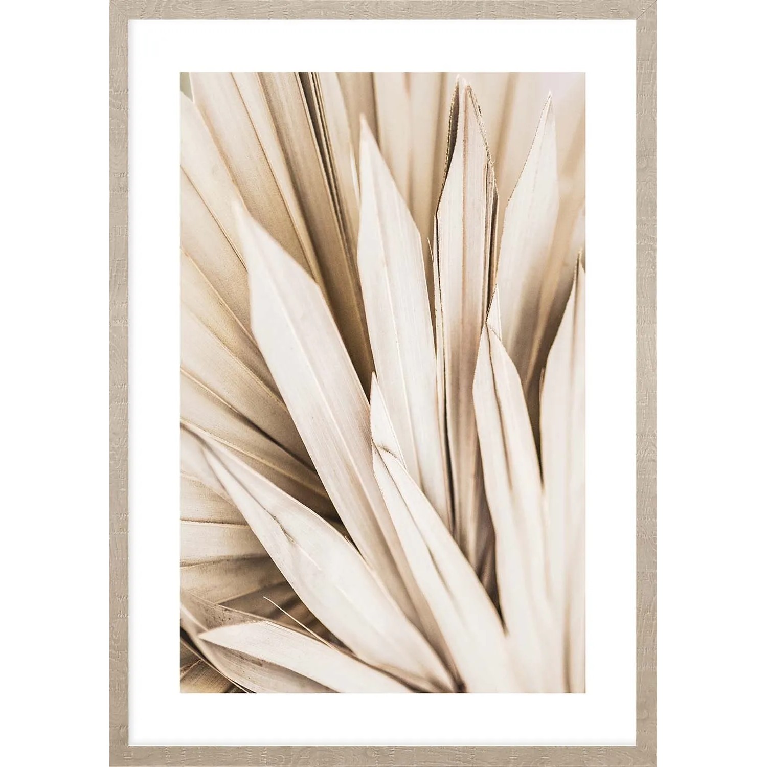 ARS LONGA Obraz PALM LEAVES no.2 53 x 73 cm