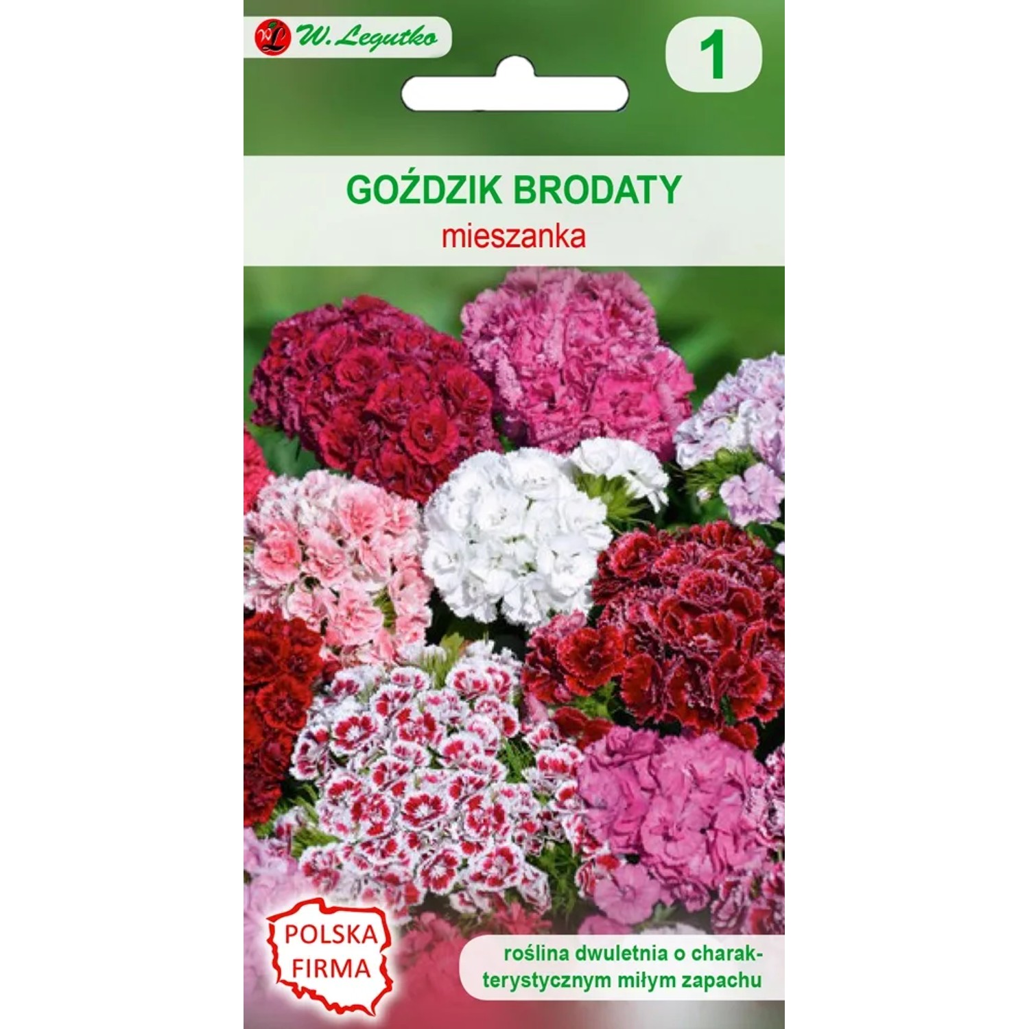 Gożdzik brodaty mieszanka pojedyncza 1,00g