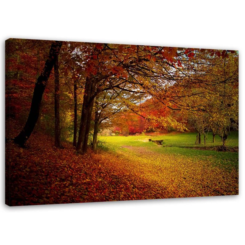 Obraz na płótnie Feeby Drzewa w parku krajobraz 100x70cm 1szt