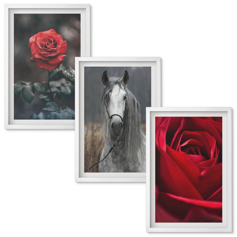 Obrazy do Salonu Wallfluent Czerwone róże koń szary świat Biała rama 40x60 cm 3 szt.