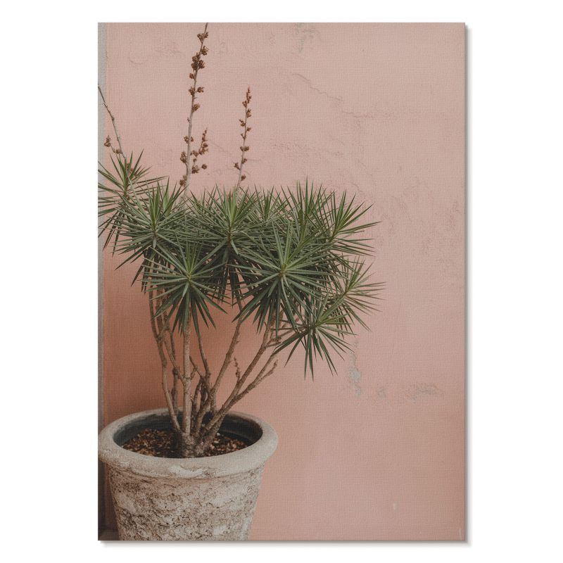 Plakat na Płótnie Tulup 29,7x42 cm (A3) Roślina doniczkowa Do salonu, sypialni, biura 1 szt.