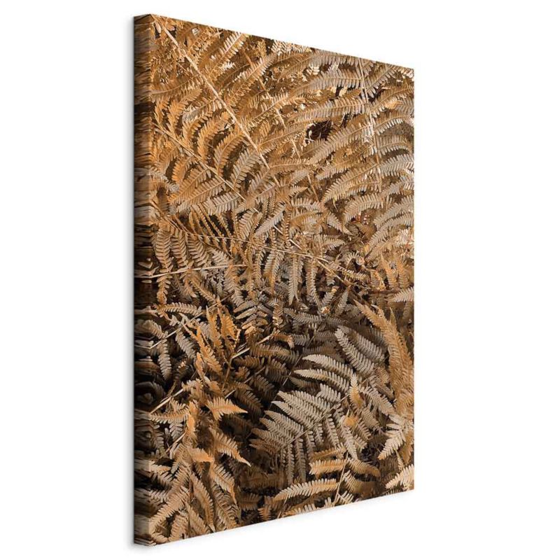 Obraz Artgeist Tajemnicza paproć 40 x 60 cm płótno włoskie 1 szt