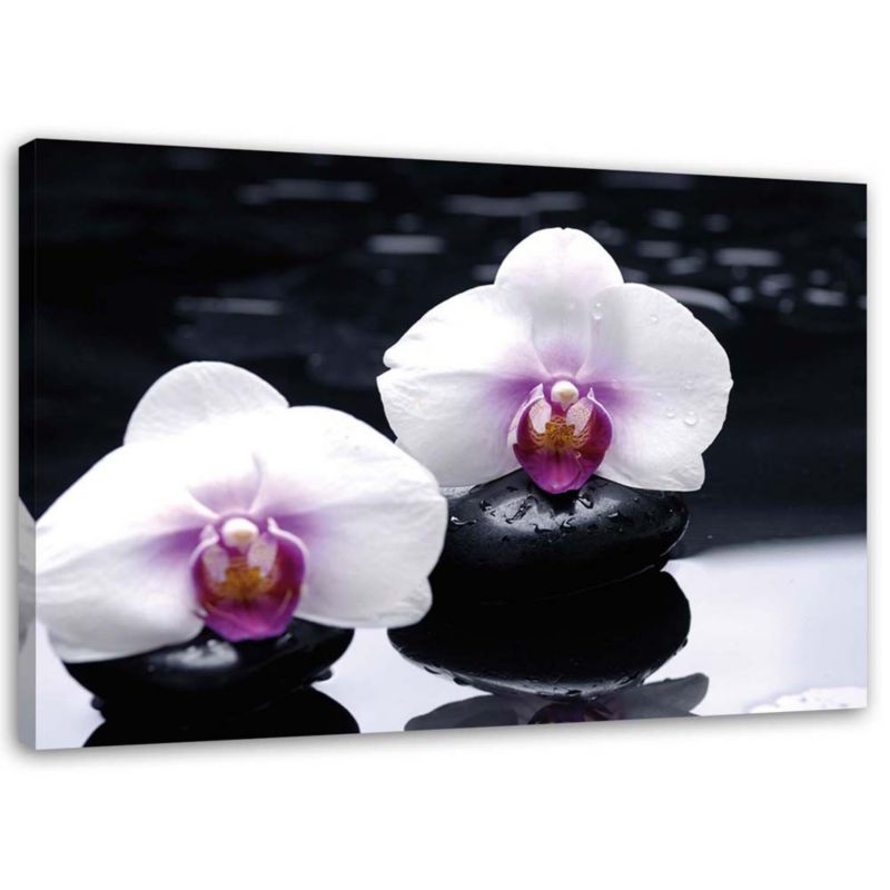 Obraz na płótnie Feeby Orchidea w stylu zen 120x80cm 1szt