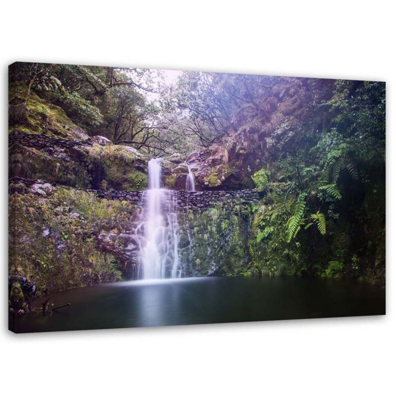 Obraz na płótnie Feeby Wodospad w lesie 120x80cm 1szt