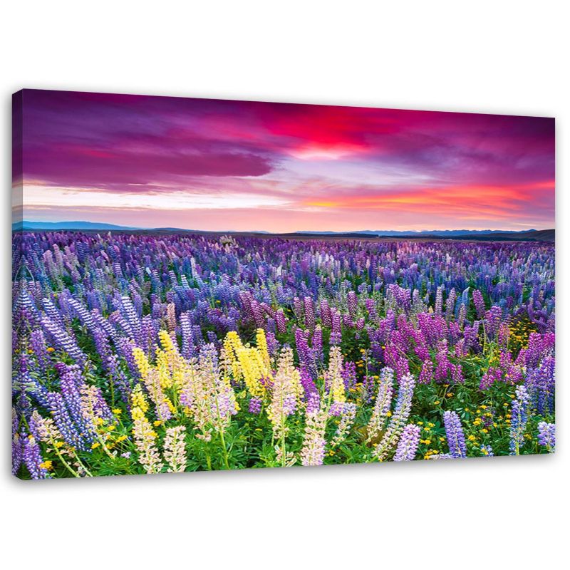 Obraz Feeby Łąka w kwiatach 30x20cm 1szt