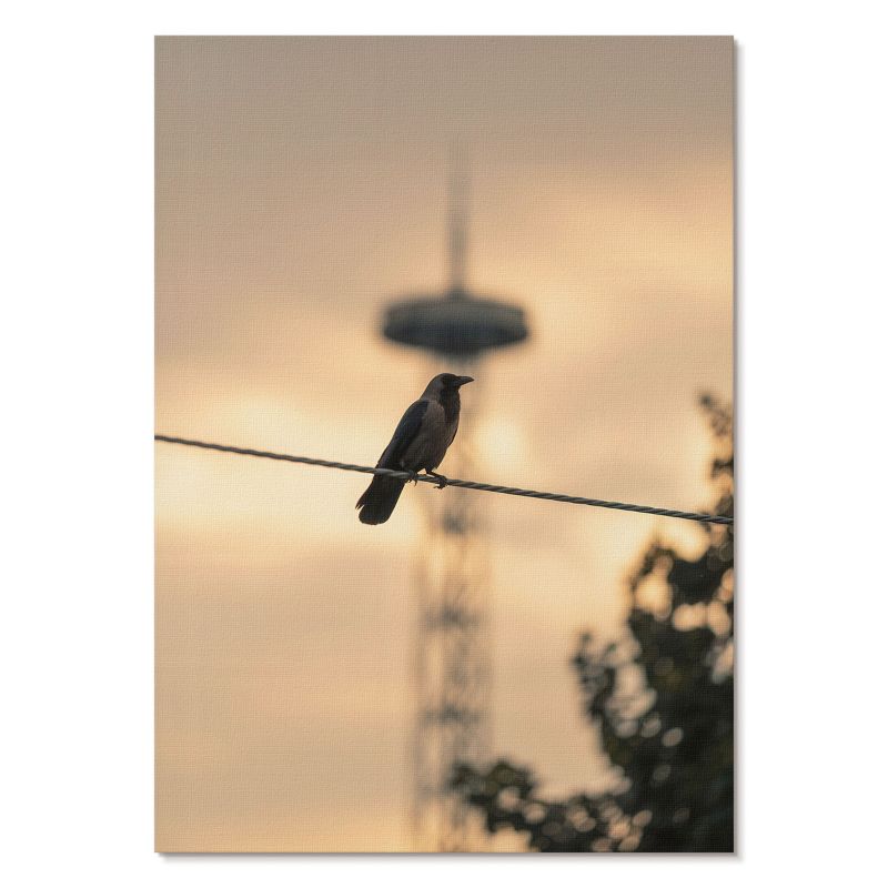 Nowoczesny Plakat na Płótnie Tulup 29,7x42 cm (A3) Ptak na kablu Do sypialni, salonu, biura 1 szt.