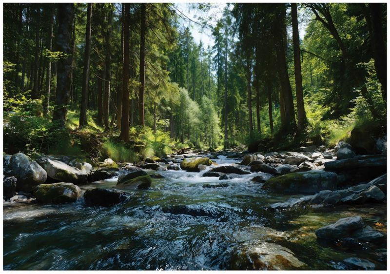Fototapeta WALLARENA Do Sypialni Salonu Na Flizelinie Las Natura Rzeka Zielony 400x280 cm 16347VX8 1 szt.