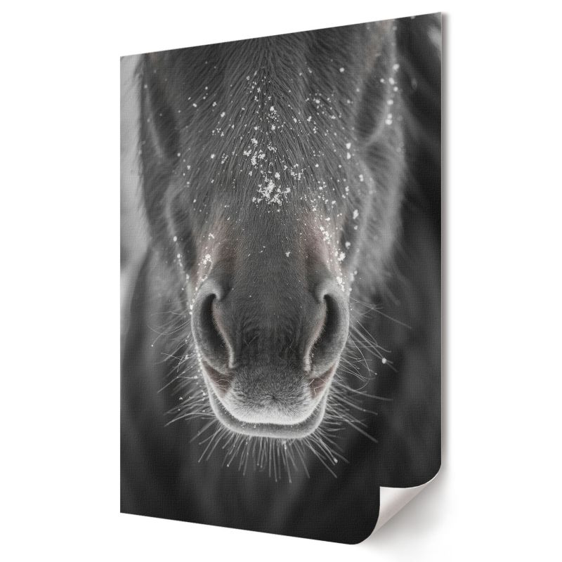 Plakat canvas Wallfluent Format A3 Koń i śnieg Artysta Sage 1 szt.