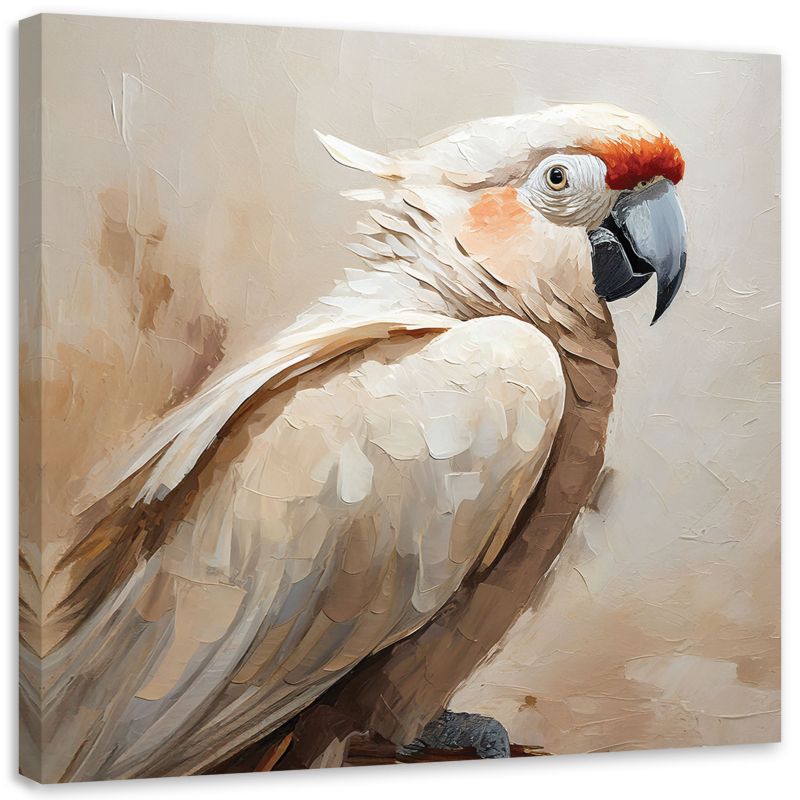 Obraz do salonu sypialni Feeby Papuga Ptaki Beżowy 40x40 cm 1szt