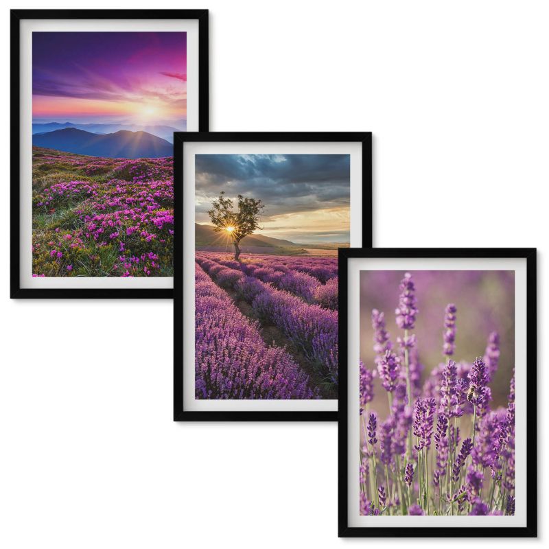 Zestaw obrazów Wallfluent Lawendowe pola zachód słońca Czarna rama 40x60 cm 3 szt.
