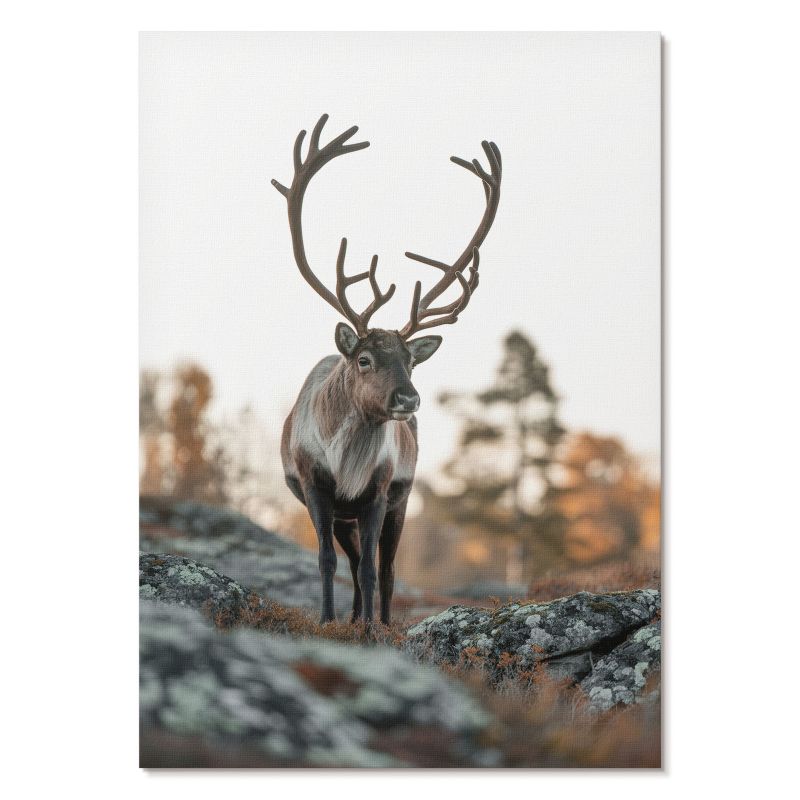 Plakat na Ścianę Tulup 21x29,7 cm (A4) Jeleń natura Do salonu, biura, sypialni 1 szt.