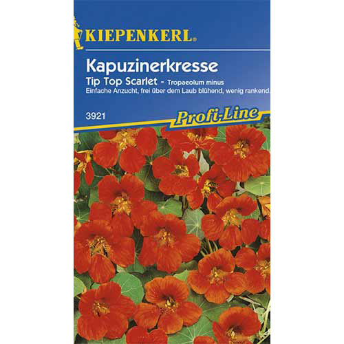 1 pac, Condurul doamnei Tip Top Scarlet Kiepenkerl - Semințe: Mod de ambalare: 1 pac