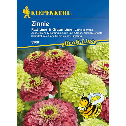 1 pac, Zinnia (Cârciumăreasă Red & Green Lime - Semințe: Mod de ambalare: 1 pac