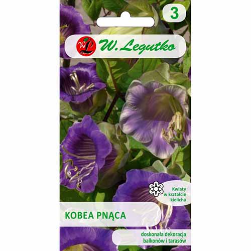 1 pac, Cobaea violet - Semințe: Mod de ambalare: 1 pac