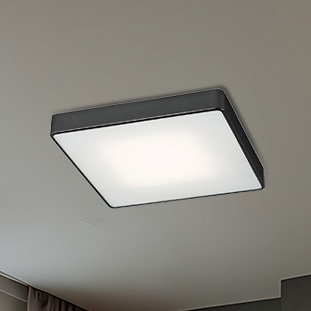 Argon Ontario plafon 4x15W czarny 1580