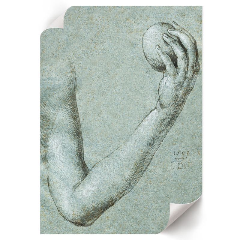Wydruk Na Płótnie ArtPrintCave 21x29,7 cm Ramię Ewy Albrecht Dürer 1 szt.