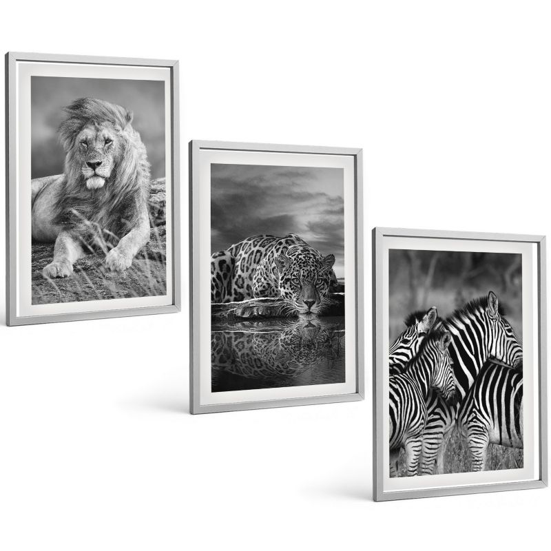 Trzyczęściowy Zestaw Obrazów ArtPrintCave 40x60 cm Srebrna rama Dzikie zwierzęta sawanny 1 kpl.