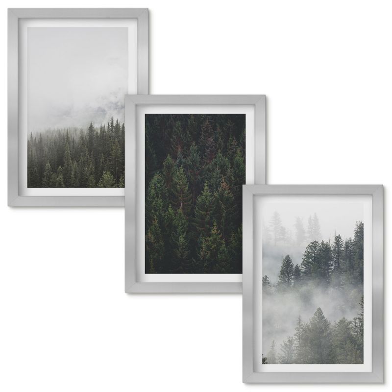 Obrazy Do Sypialni Wallfluent Zielone lasy mgła natura Srebrna rama 20x30cm 3 szt.