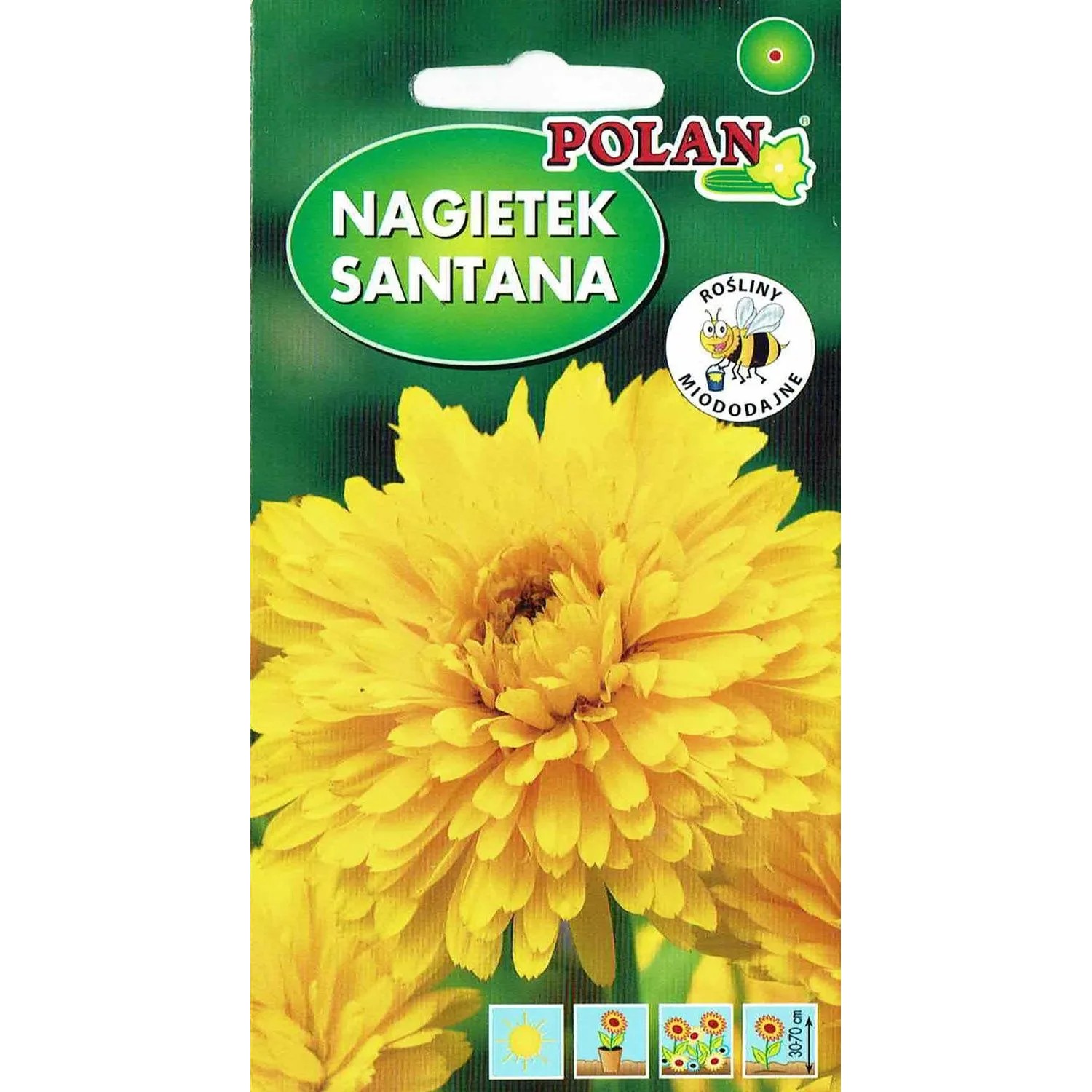 Nagietek lekarski Santana 3 g