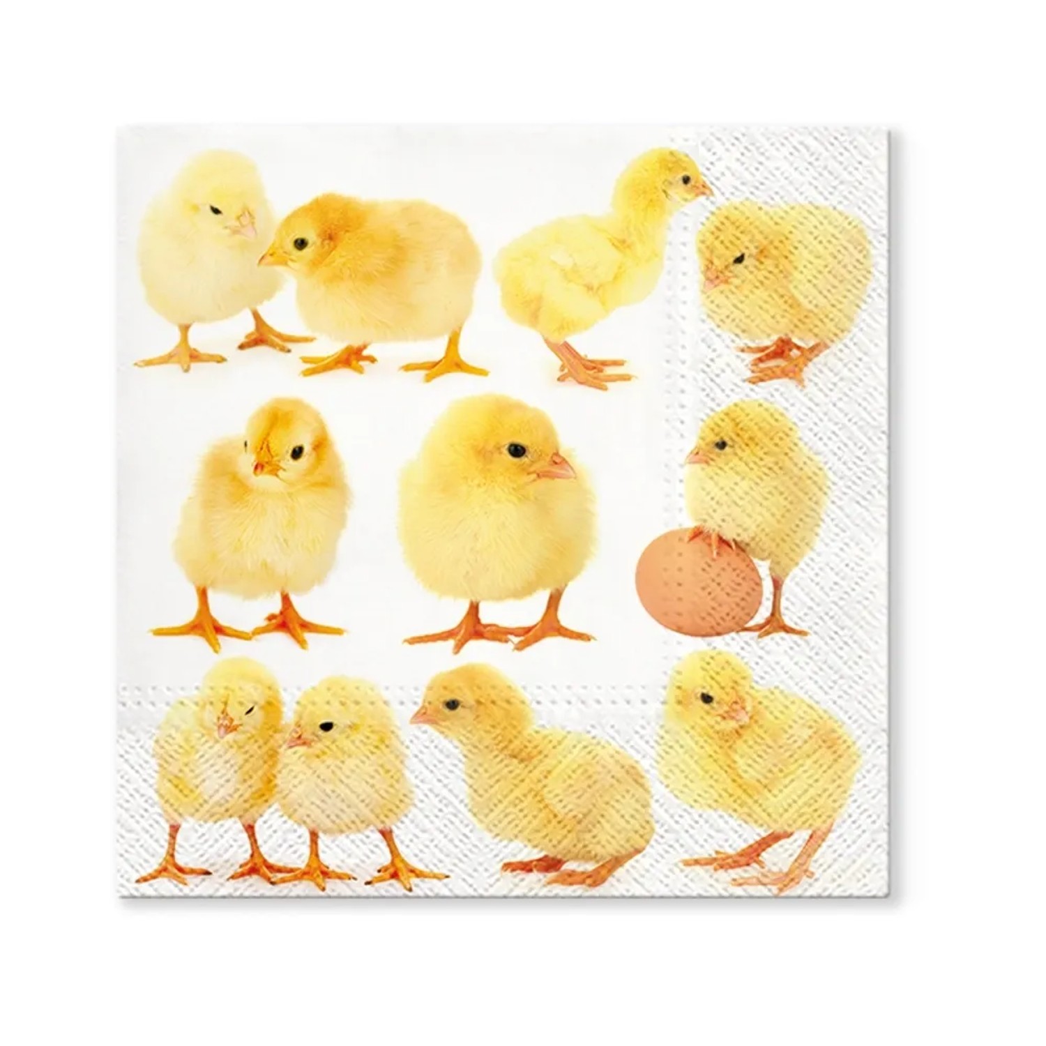 Serwetki Little Chickens