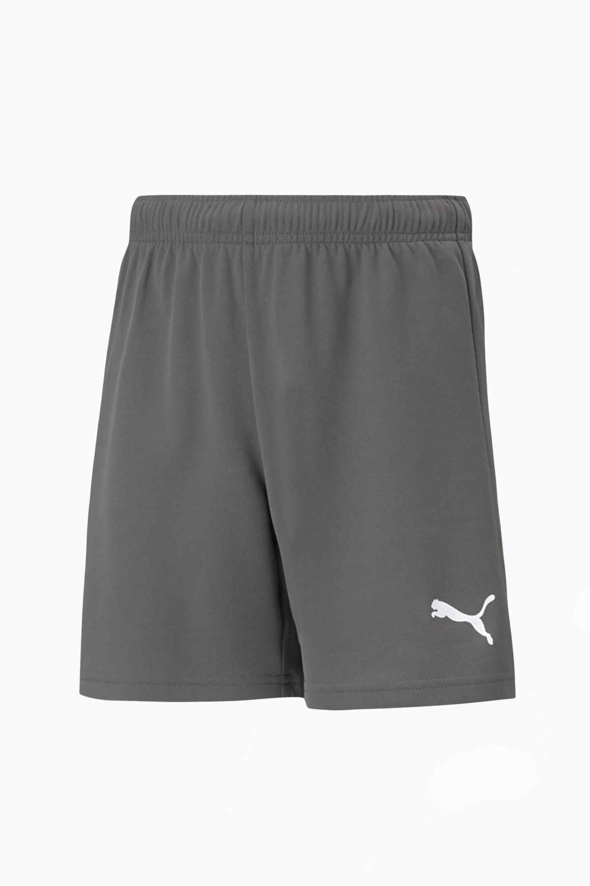 Spodenki Puma teamRISE Junior - Szary