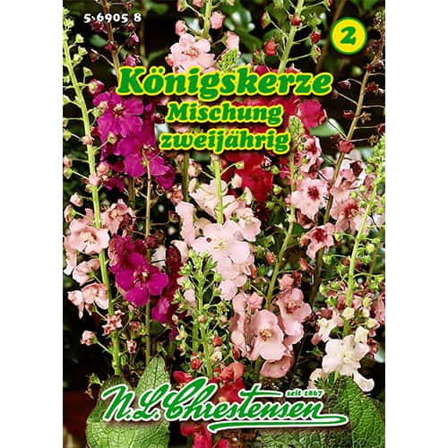 Divozel tmavočervený Königskerze, zmes - : Monžstvo balíkov: 1 kus