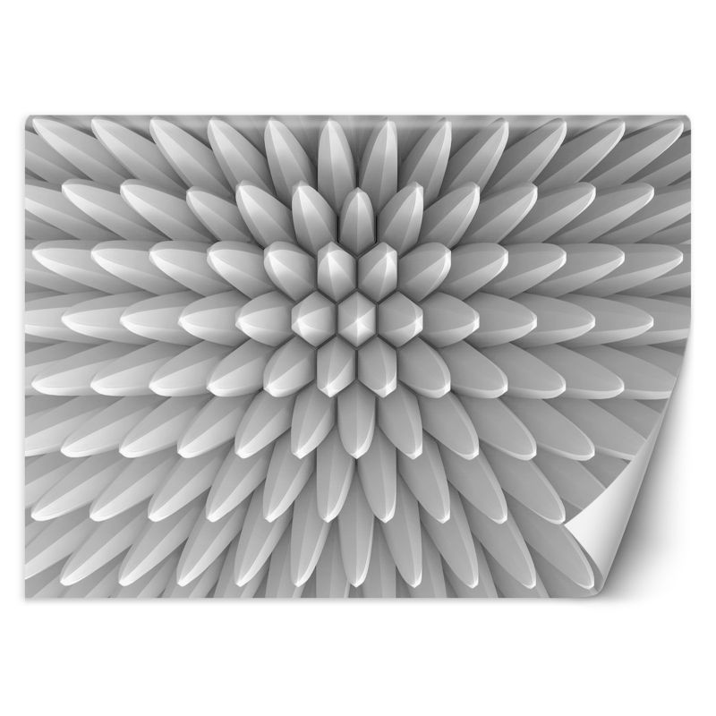 Fototapeta Feeby Abstrakcja kolce tekstura 3D 350x245 1 szt