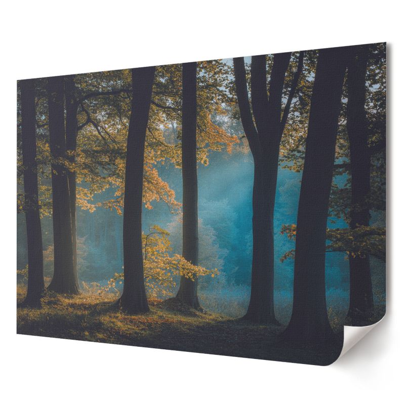 Plakat canvas Wallfluent Format A2 Leśny spokój Artysta Nevara 1 szt.