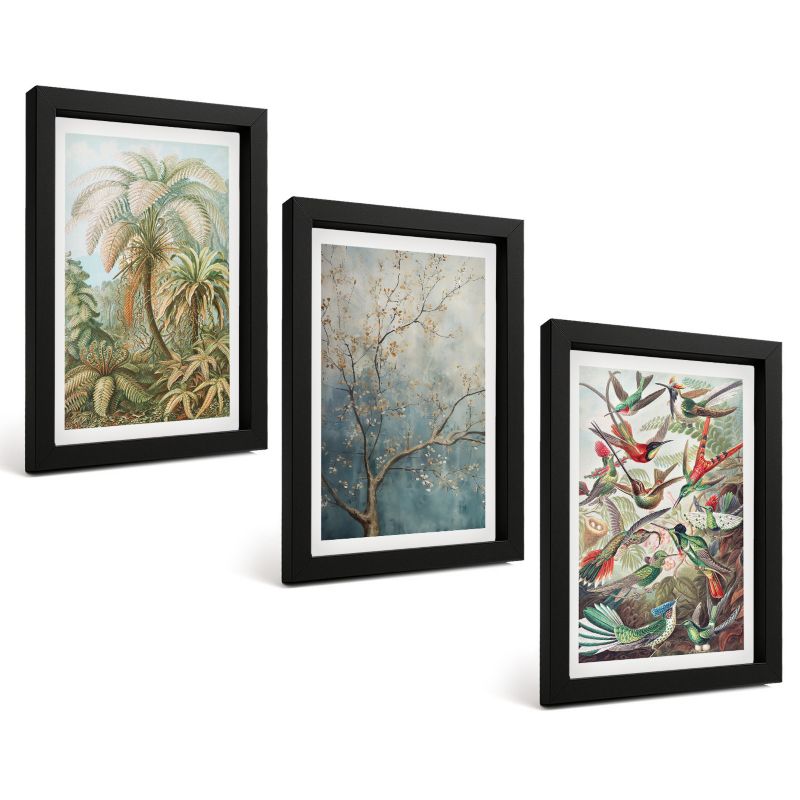 Zestaw 3 Obrazów w Czarnej Ramie ArtPrintCave 20x30 cm Galeria Ścienna Tropikalne rośliny ptaki natura 1 kpl.