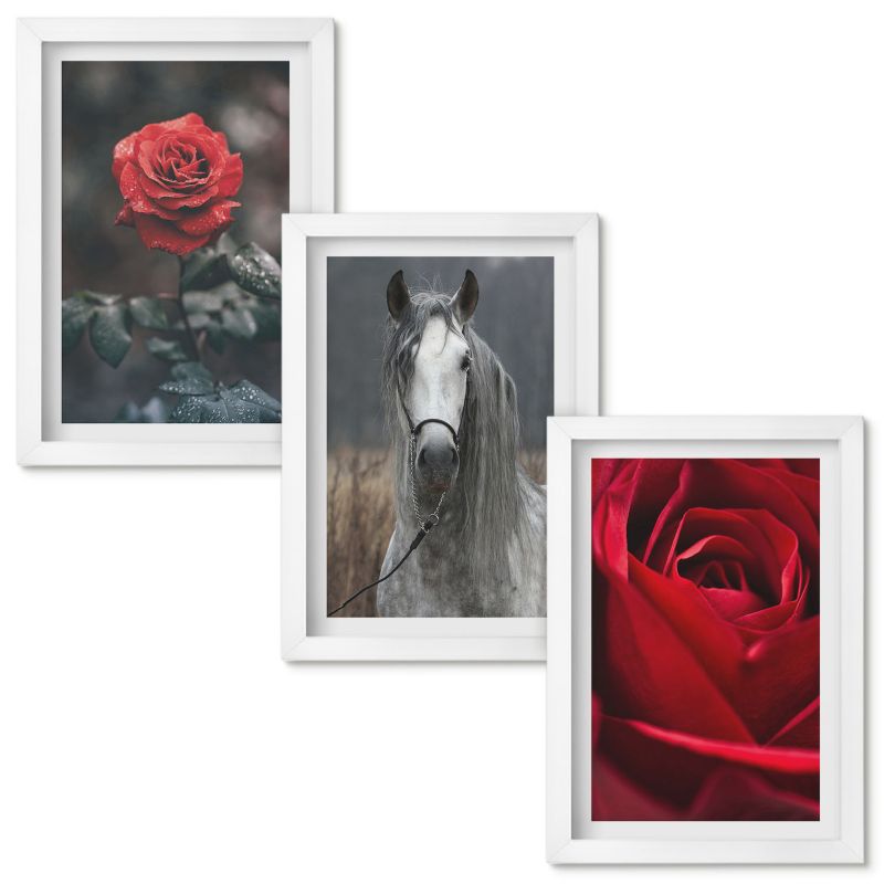 Obrazy do Salonu Wallfluent Czerwone róże koń szary świat Biała rama 20x30cm 3 szt.