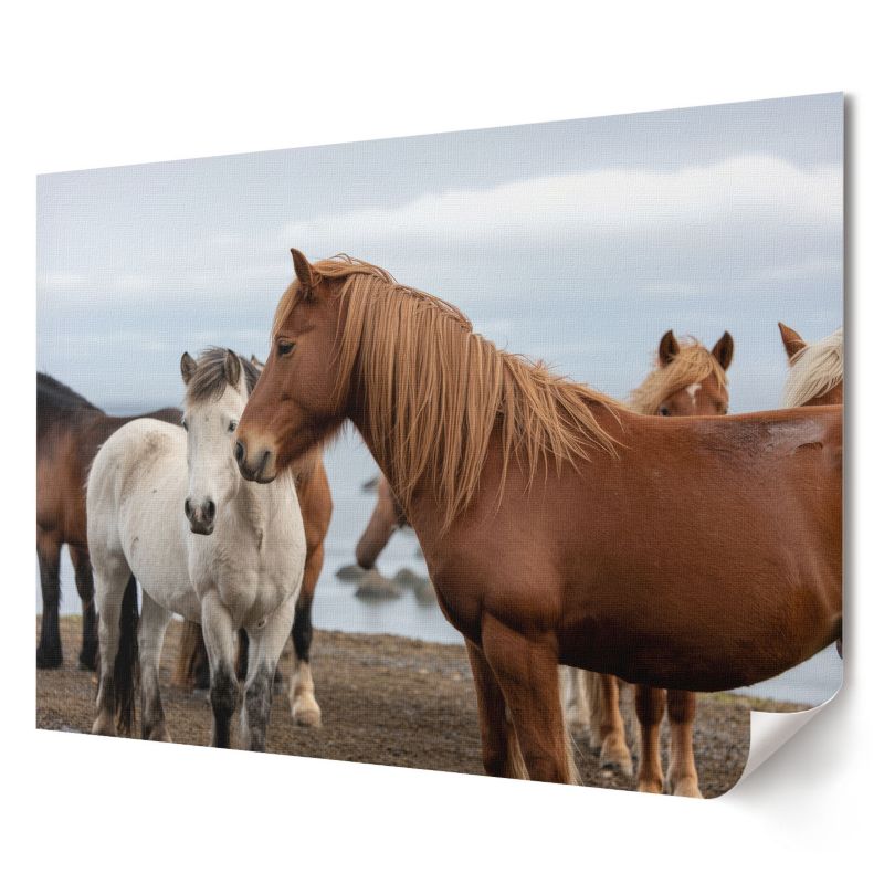 Plakat Wallfluent Format A4 Konie w krajobrazie Artysta Ivara 1 szt.