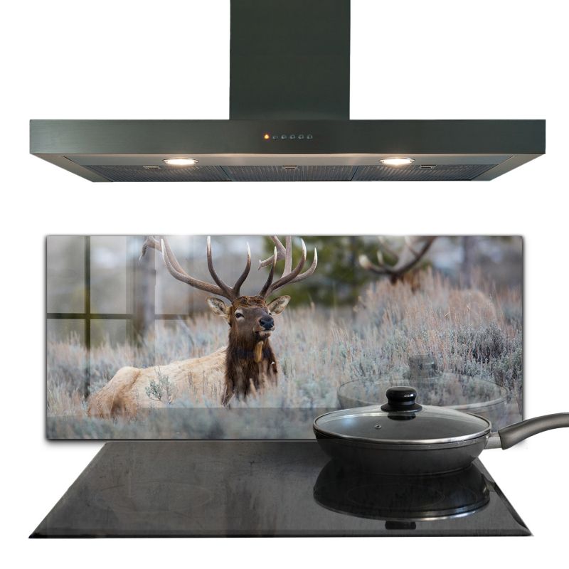 Panel ochronny Wallfluent 125x50 cm Dzika Przyroda Szklany 1 szt.