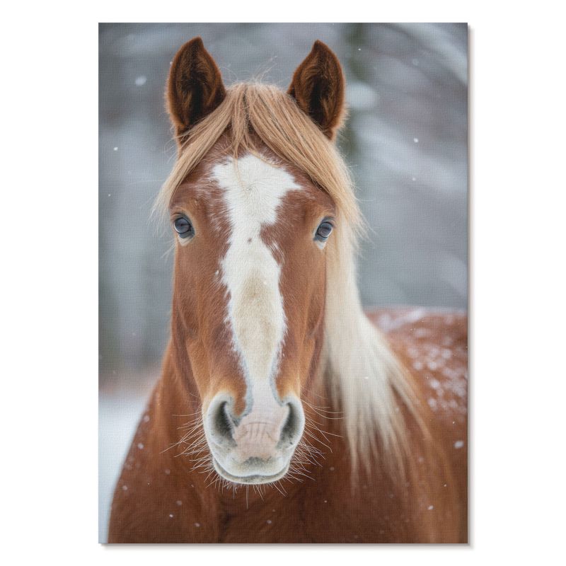 Obraz Plakat Canvas Tulup 21x29,7 cm (A4) Koń zimą Do salonu, sypialni, biura 1 szt.