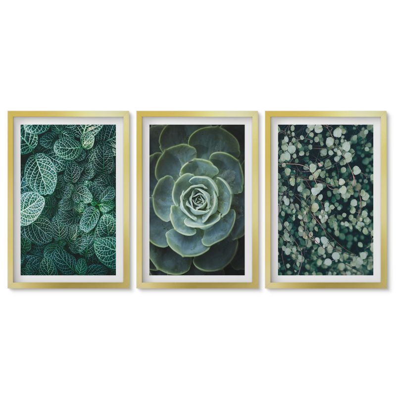 Obrazy w złotej ramie Tulup 40x60 cm Sukulenty Dekoracja ścienna do przedpokoju 1 kpl