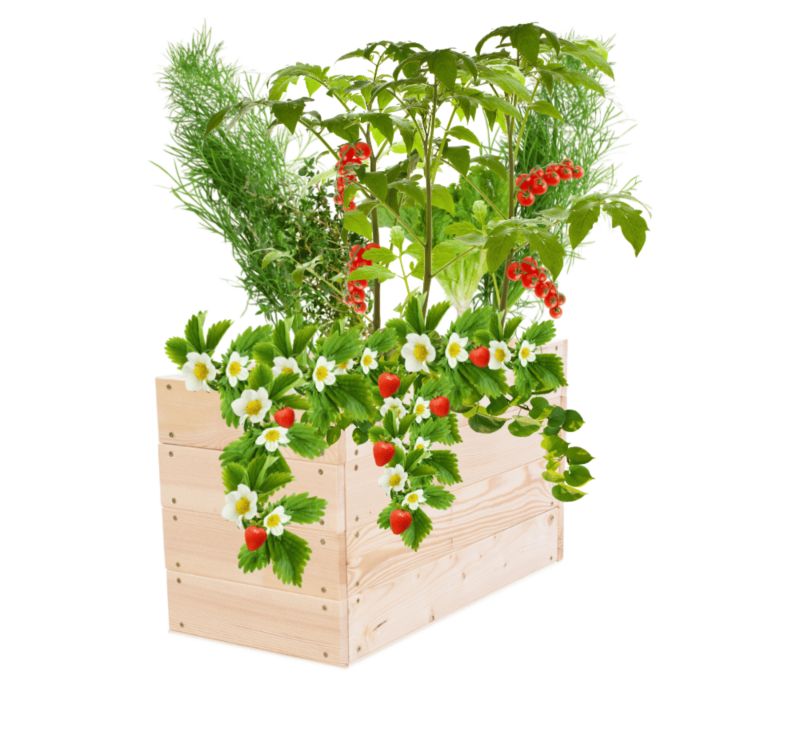 Skrzynia na warzywa MODO24 grządka naturalne drewno 36x63x30 cm 1 szt.