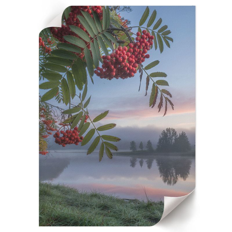 Plakat ArtPrintCave 21x29,7 cm Natura o poranku And 1 szt.