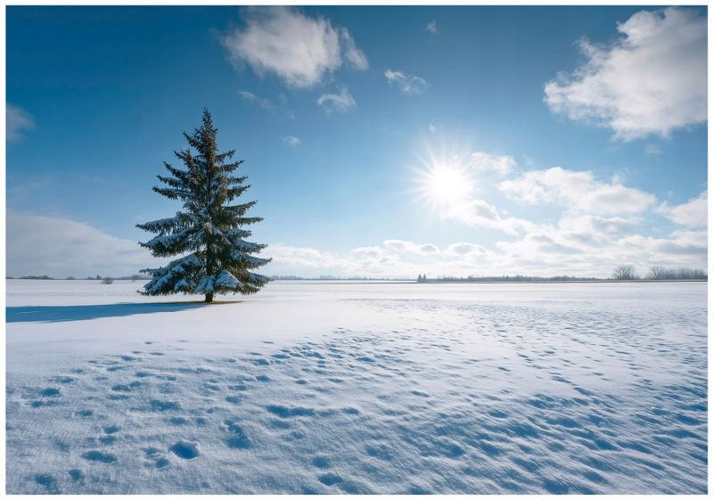 Fototapeta WALLARENA Do Sypialni Salonu Na Flizelinie Pole Śnieg Natura Niebieski 400x280 cm 16289VX8 1 szt.