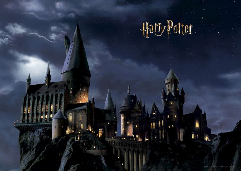 fototapeta Sanders & Sanders Harry Potter Hogwart czarnymIciemnoniebieskim 182 x 252 cm - 1 rol.