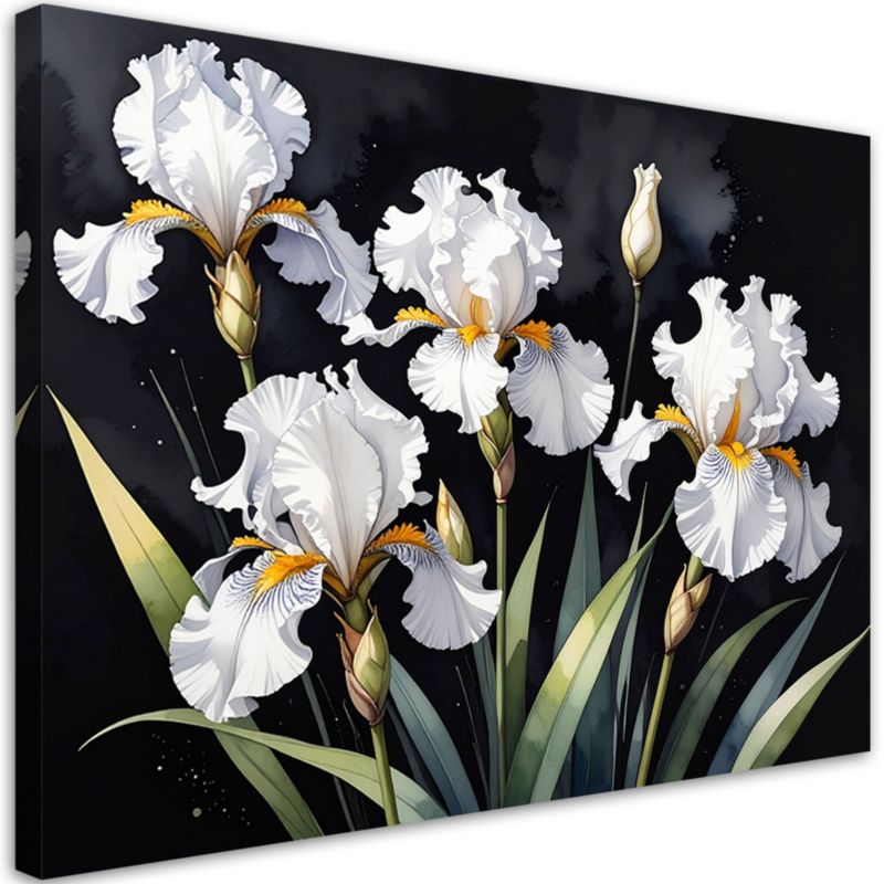 Obraz do salonu sypialni kuchni biura loftu Feeby Białe irysy kwiaty 30x20cm 1szt