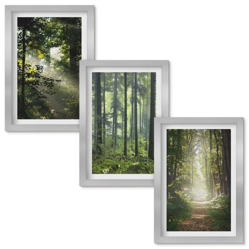 Obrazy do Salonu Wallfluent Zielone lasy z promieniami światła Srebrna rama 20x30cm 3 szt.