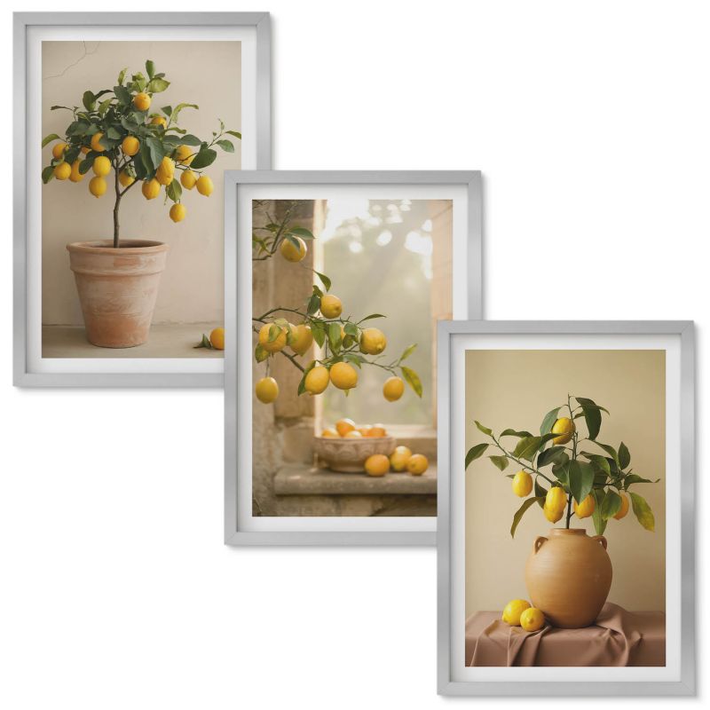 Tryptyk w Ramie Wallfluent Cytrynowe drzewka w donicach Srebrna rama 40x60 cm 3 szt.