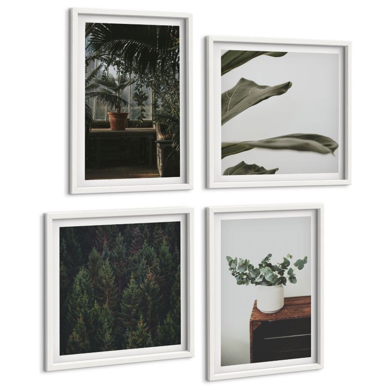 Zestaw Obrazów 4 Częściowy ArtPrintCave (2x50x50+2x40x60cm) Biała rama Rośliny doniczki rustykalnie 1 kpl.
