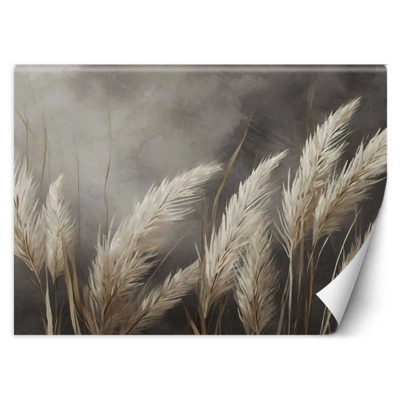 Fototapeta Feeby trawa, natura, botanika, beżowy 350x245 1 szt