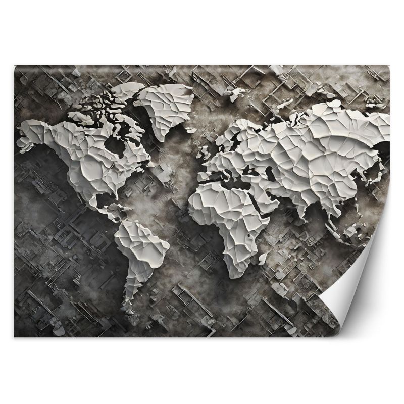 Fototapeta Feeby Szara mapa świata 3D 250x175 1 szt