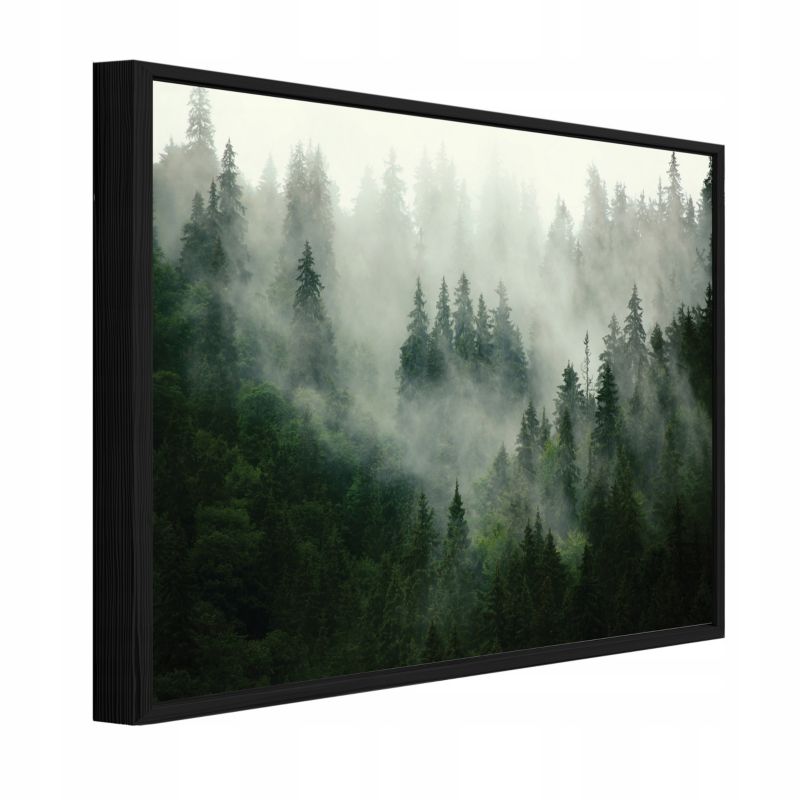 Obraz W Ramie WALLARENA Do Sypialni Salonu Na Płótnie Las Natura Mgła Zielony 100x70 cm PPR13026O1 1 szt.