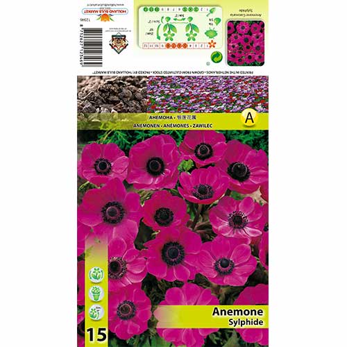15 buc, Anemone Sylphide - Bulbi: Mod de ambalare: 15 buc